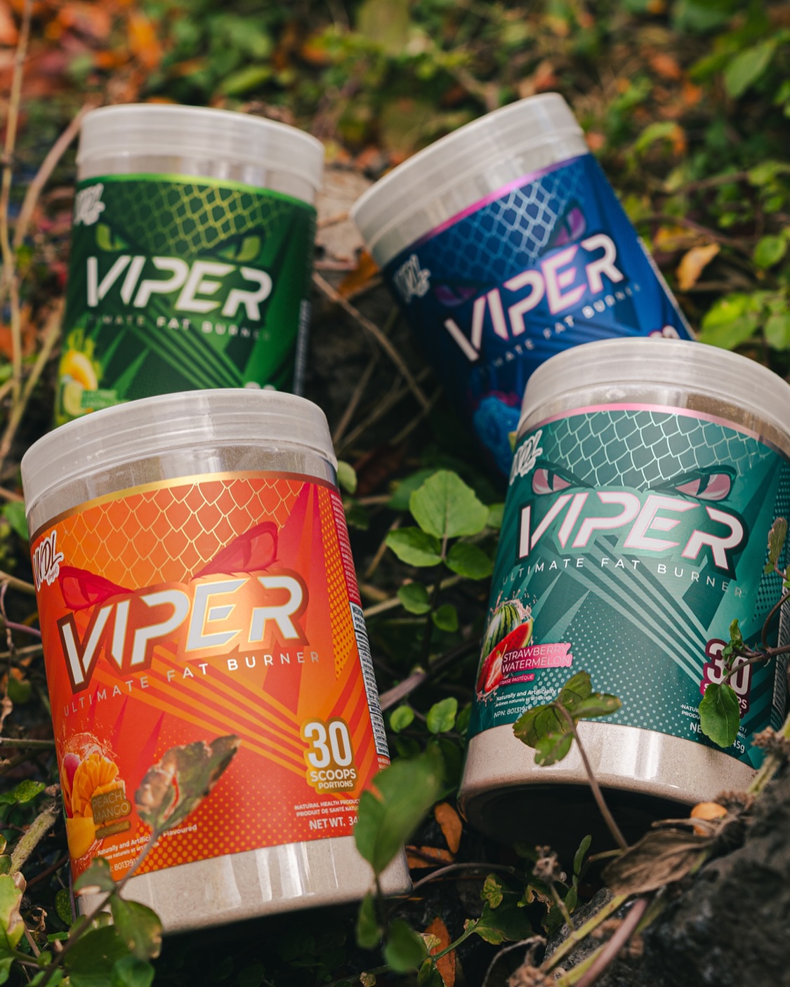 461881393_18101515687453555_7529348321311141057_n